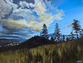 Evening light 1