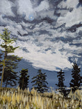 Evening light 3