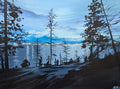 Evening winter light