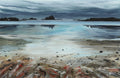 Tofino
