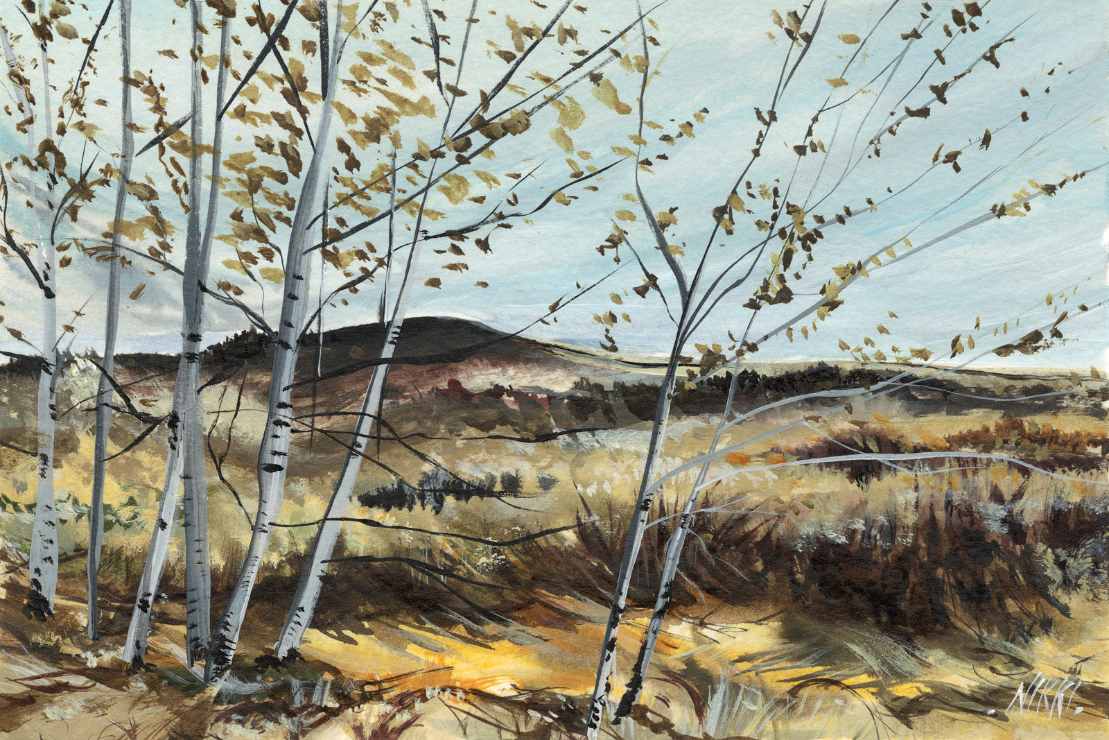 Grey Canal Trail View