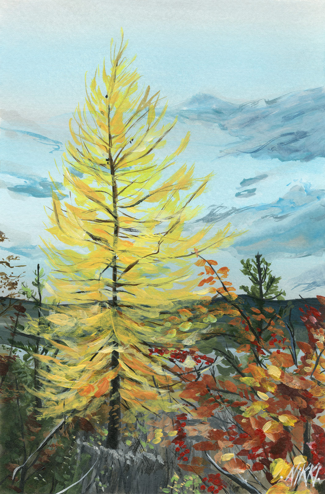 Yellow Larch