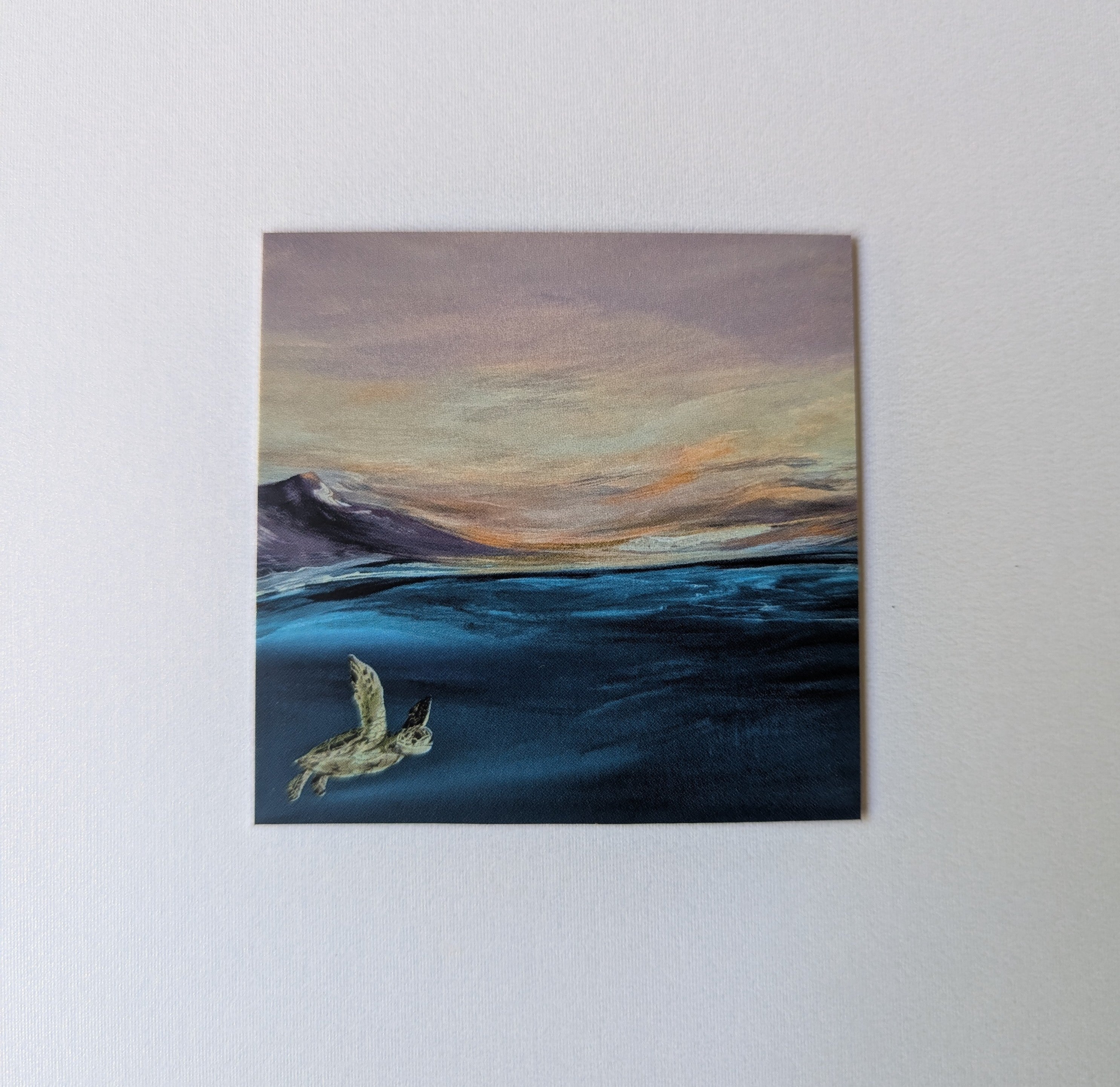 Baby Turtle Art Magnet