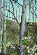 Birch Trees