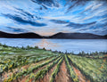 My Okanagan #31